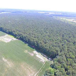 Photo of SOLD!!  222 Acres of Farm and Hunting Land For Sale in Isle of Wight County VA!
