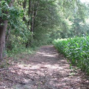 Photo of SOLD!!  222 Acres of Farm and Hunting Land For Sale in Isle of Wight County VA!
