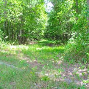Photo of SOLD!!  222 Acres of Farm and Hunting Land For Sale in Isle of Wight County VA!