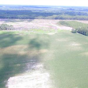 Photo of SOLD!!  222 Acres of Farm and Hunting Land For Sale in Isle of Wight County VA!