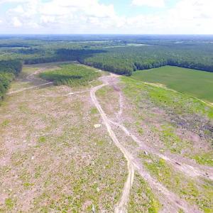 Photo of SOLD!!  222 Acres of Farm and Hunting Land For Sale in Isle of Wight County VA!