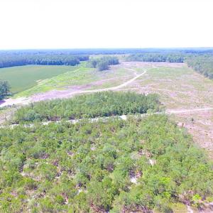 Photo of SOLD!!  222 Acres of Farm and Hunting Land For Sale in Isle of Wight County VA!