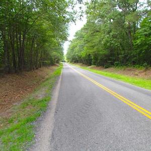 Photo of SOLD!!  222 Acres of Farm and Hunting Land For Sale in Isle of Wight County VA!
