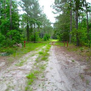 Photo of SOLD!!  222 Acres of Farm and Hunting Land For Sale in Isle of Wight County VA!