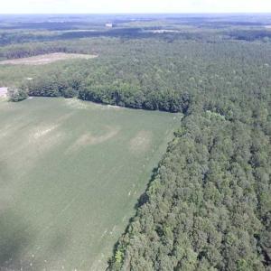 Photo of SOLD!!  222 Acres of Farm and Hunting Land For Sale in Isle of Wight County VA!