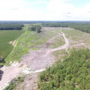 Photo of SOLD!!  222 Acres of Farm and Hunting Land For Sale in Isle of Wight County VA!