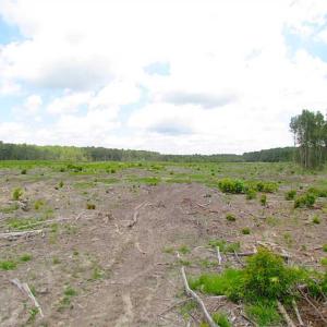 Photo of SOLD!!  222 Acres of Farm and Hunting Land For Sale in Isle of Wight County VA!