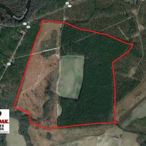 Photo of SOLD!!  222 Acres of Farm and Hunting Land For Sale in Isle of Wight County VA!
