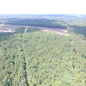 Photo of SOLD!!  222 Acres of Farm and Hunting Land For Sale in Isle of Wight County VA!