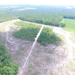 Photo of SOLD!!  222 Acres of Farm and Hunting Land For Sale in Isle of Wight County VA!