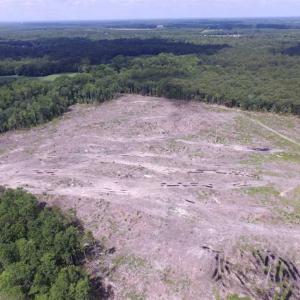 Photo of SOLD!!  222 Acres of Farm and Hunting Land For Sale in Isle of Wight County VA!
