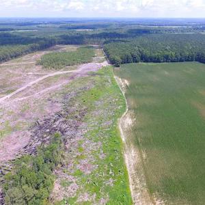 Photo of SOLD!!  222 Acres of Farm and Hunting Land For Sale in Isle of Wight County VA!
