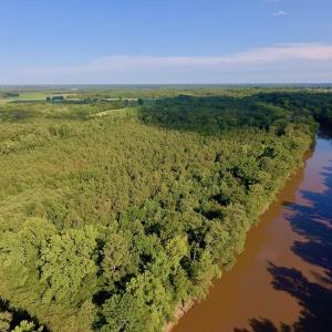 Photo of SOLD!  39.74 Acres of Tar River Hunting and Recreational Land in Edgecombe County NC!