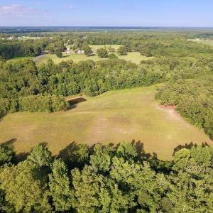 Photo of SOLD!  39.74 Acres of Tar River Hunting and Recreational Land in Edgecombe County NC!
