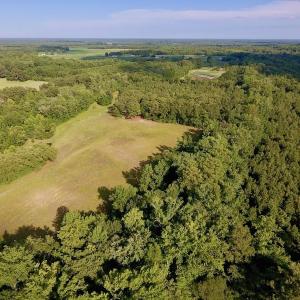 Photo of SOLD!  39.74 Acres of Tar River Hunting and Recreational Land in Edgecombe County NC!