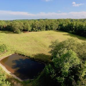 Photo of SOLD!  39.74 Acres of Tar River Hunting and Recreational Land in Edgecombe County NC!