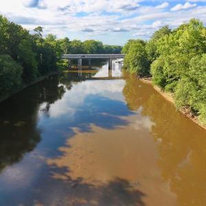 Photo of SOLD!  39.74 Acres of Tar River Hunting and Recreational Land in Edgecombe County NC!