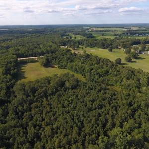 Photo of SOLD!  39.74 Acres of Tar River Hunting and Recreational Land in Edgecombe County NC!