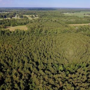 Photo of SOLD!  39.74 Acres of Tar River Hunting and Recreational Land in Edgecombe County NC!