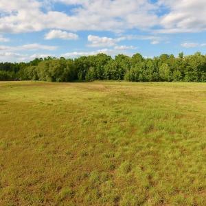 Photo of SOLD!  39.74 Acres of Tar River Hunting and Recreational Land in Edgecombe County NC!