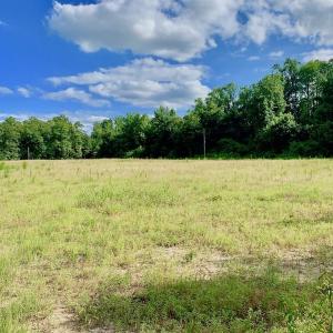 Photo of SOLD!  39.74 Acres of Tar River Hunting and Recreational Land in Edgecombe County NC!