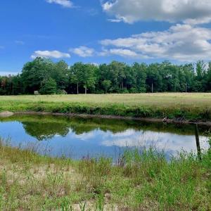 Photo of SOLD!  39.74 Acres of Tar River Hunting and Recreational Land in Edgecombe County NC!