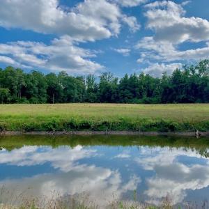 Photo of SOLD!  39.74 Acres of Tar River Hunting and Recreational Land in Edgecombe County NC!