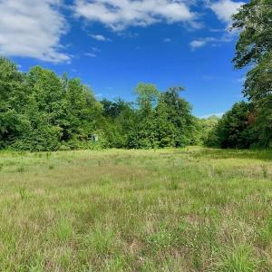 Photo of SOLD!  39.74 Acres of Tar River Hunting and Recreational Land in Edgecombe County NC!