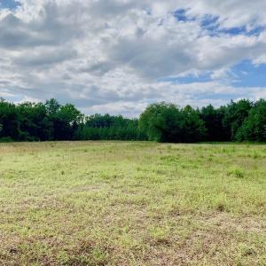 Photo of SOLD!  39.74 Acres of Tar River Hunting and Recreational Land in Edgecombe County NC!