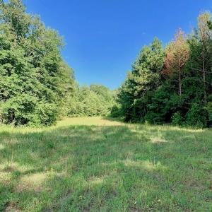 Photo of SOLD!  39.74 Acres of Tar River Hunting and Recreational Land in Edgecombe County NC!