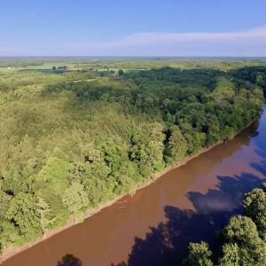 Photo of SOLD!  39.74 Acres of Tar River Hunting and Recreational Land in Edgecombe County NC!