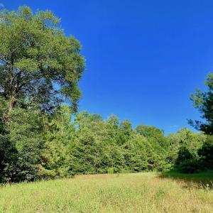 Photo of SOLD!  39.74 Acres of Tar River Hunting and Recreational Land in Edgecombe County NC!