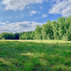 Photo of SOLD!  39.74 Acres of Tar River Hunting and Recreational Land in Edgecombe County NC!