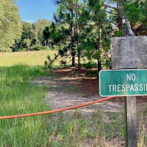 Photo of SOLD!  39.74 Acres of Tar River Hunting and Recreational Land in Edgecombe County NC!