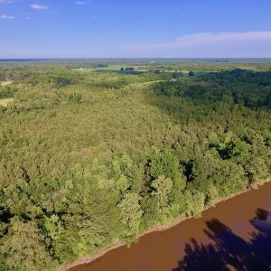 Photo of SOLD!  39.74 Acres of Tar River Hunting and Recreational Land in Edgecombe County NC!
