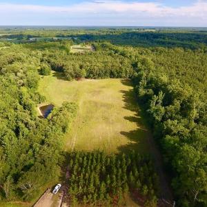 Photo of SOLD!  39.74 Acres of Tar River Hunting and Recreational Land in Edgecombe County NC!