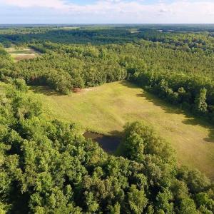 Photo of SOLD!  39.74 Acres of Tar River Hunting and Recreational Land in Edgecombe County NC!