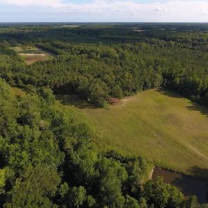Photo of SOLD!  39.74 Acres of Tar River Hunting and Recreational Land in Edgecombe County NC!