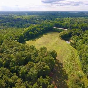 Photo of SOLD!  39.74 Acres of Tar River Hunting and Recreational Land in Edgecombe County NC!