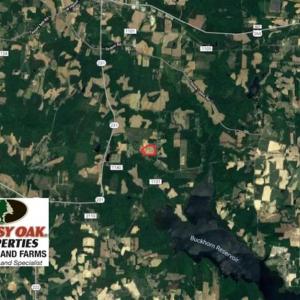 Photo of SOLD!!  26.8 Acres of Farm and Timber Land For Sale in Nash County NC!