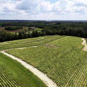 Photo of SOLD!!  26.8 Acres of Farm and Timber Land For Sale in Nash County NC!