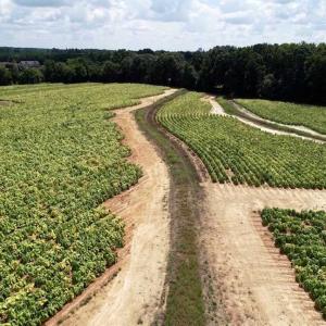 Photo of SOLD!!  26.8 Acres of Farm and Timber Land For Sale in Nash County NC!