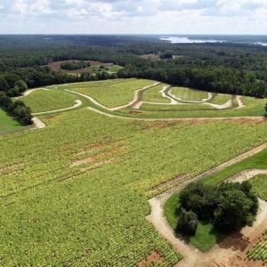 Photo of SOLD!!  26.8 Acres of Farm and Timber Land For Sale in Nash County NC!