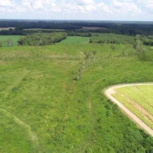 Photo of SOLD!  29.4 Acres of  Farm and Timber and For Sale in Nash County NC!