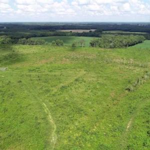 Photo of SOLD!  29.4 Acres of  Farm and Timber and For Sale in Nash County NC!