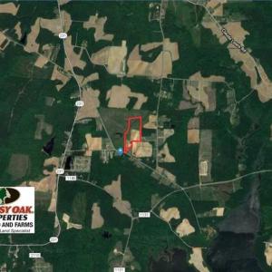 Photo of SOLD!  29.4 Acres of  Farm and Timber and For Sale in Nash County NC!