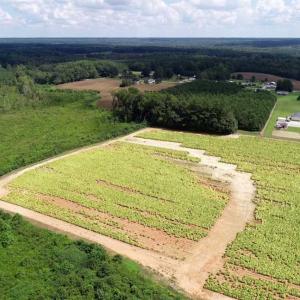 Photo of SOLD!  29.4 Acres of  Farm and Timber and For Sale in Nash County NC!
