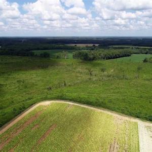 Photo of SOLD!  29.4 Acres of  Farm and Timber and For Sale in Nash County NC!