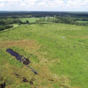 Photo of SOLD!  29.4 Acres of  Farm and Timber and For Sale in Nash County NC!