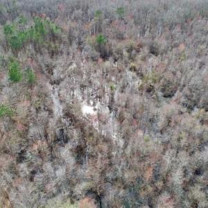 Photo of SOLD!!  115 Acres of Hunting Land For Sale in Robeson County NC!